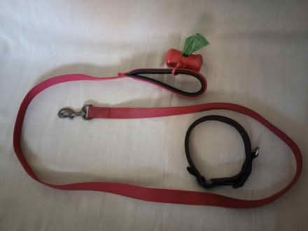 Photo of free Dog lead (Kingsway BA2) #1