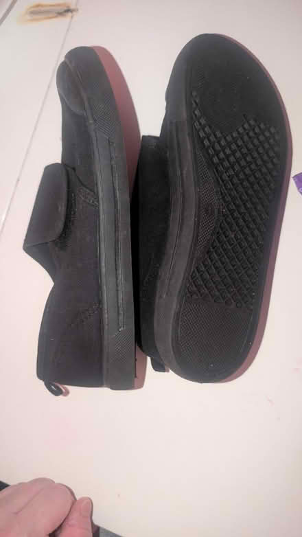 Photo of free Plimsolls (Hailsham BN27) #2