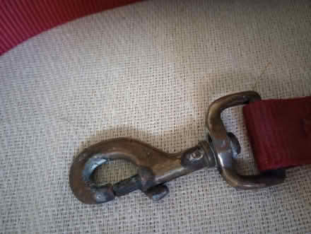 Photo of free Dog lead (Kingsway BA2) #2