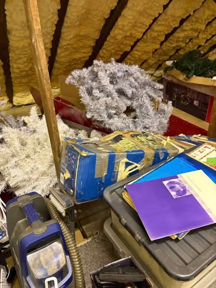 Photo of free Xmas trees (Knotty ash Liverpool) #2