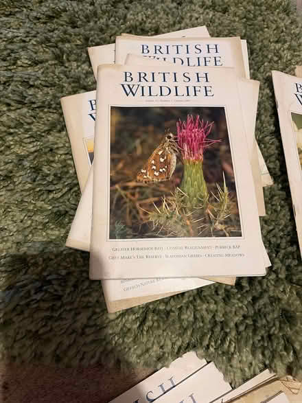 Photo of free British wildlife magazine 1998 - 2021 (Lydham SY9) #2