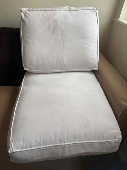 Photo of free Chair cushions (Woodloes Park, Warwick CV34) #1
