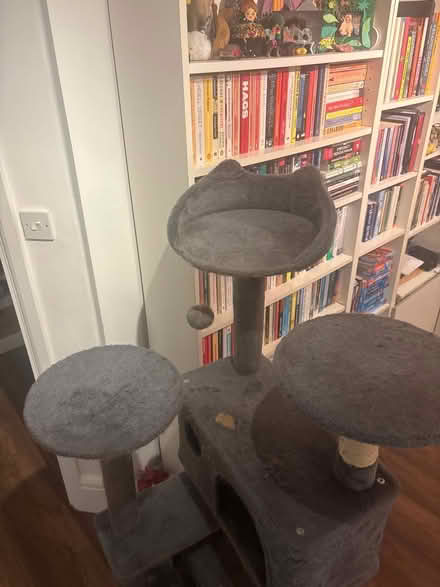 Photo of free Cat tower (TN2) #2