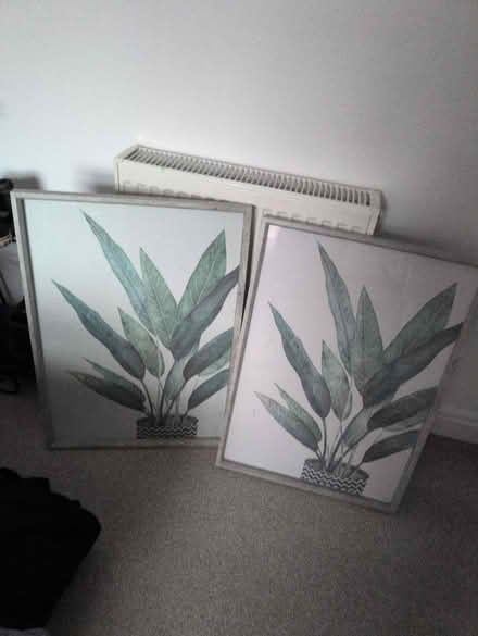 Photo of free Photo frames - large (Swinton M27) #1