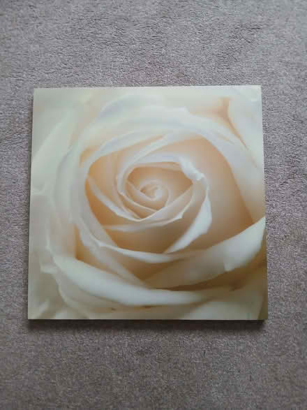 Photo of free Canvas (Pitsea SS13) #1