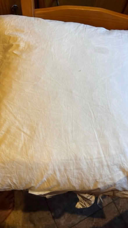 Photo of free IKEA feather couch pillow 20x20 (Sunnyvale) #1