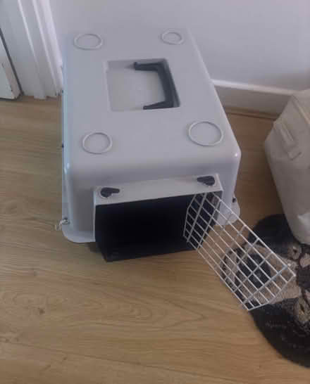 Photo of free Pet carrier (Borough) #1