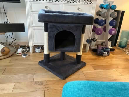 Photo of free Cat tree (Malvern WR14) #1