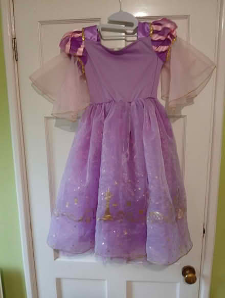 Photo of free Disney Princess Dress -5/6 years (Havant PO9) #1