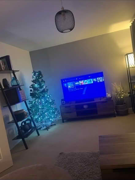 Photo of free Christmas tree (Wincobank S5) #2