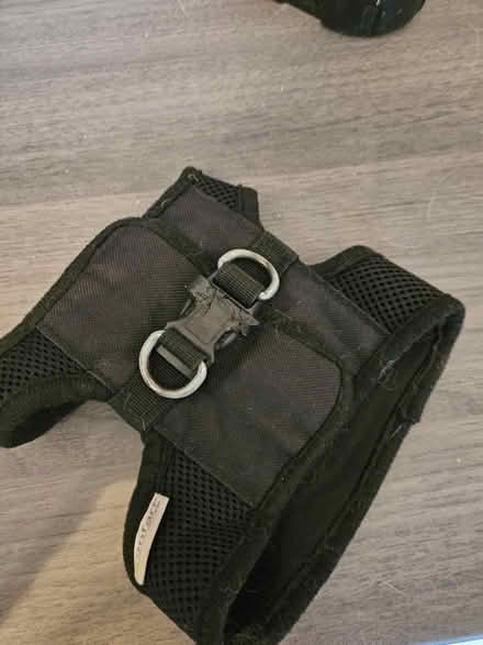 Photo of free Small dog harness (Radcliffe M26) #1