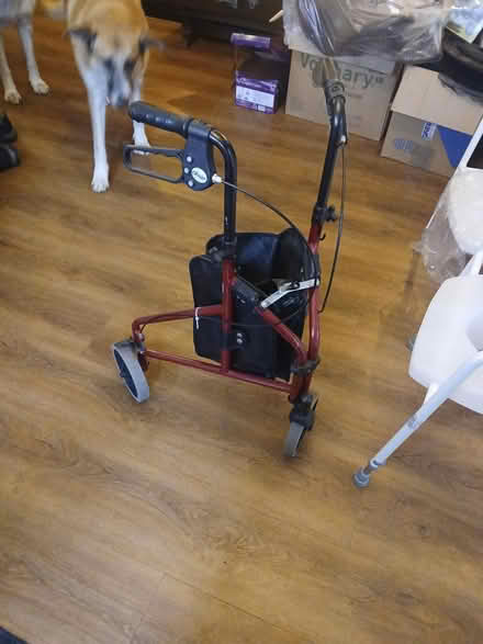 Photo of free walker, shower/toilet seat, crutch (Forden) #3