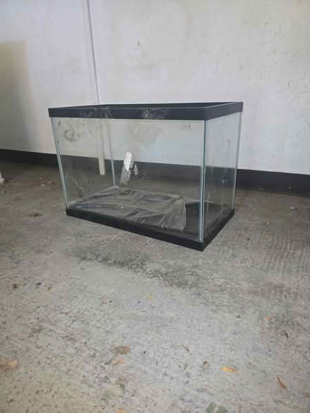 Photo of free Fish Aquarium (Farmington Hills) #3