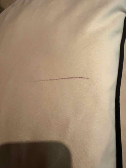 Photo of free Large Beige Cushions (Topsham EX3) #3