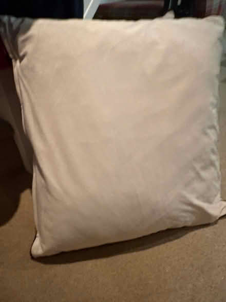 Photo of free Large Beige Cushions (Topsham EX3) #1