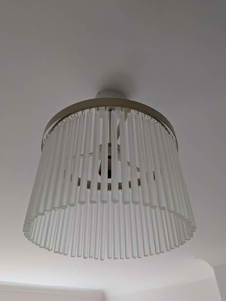 Photo of free Lamp shades (W5) #2