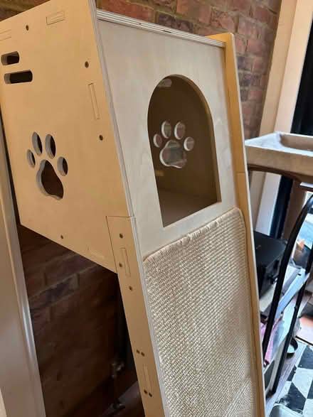 Photo of free New cat tree (BN3 3PA) #2