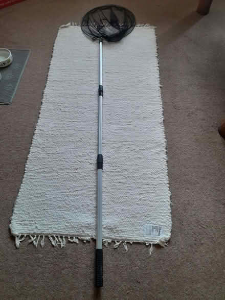 Photo of free pond/pool skimmer (The Dales IP1) #2