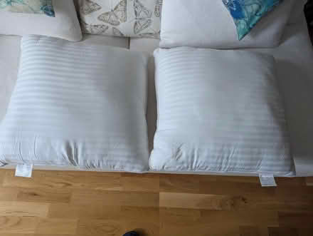 Photo of free 2 x pillows (West Norwood SE27) #1