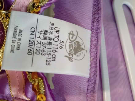 Photo of free Disney Princess Dress -5/6 years (Havant PO9) #3
