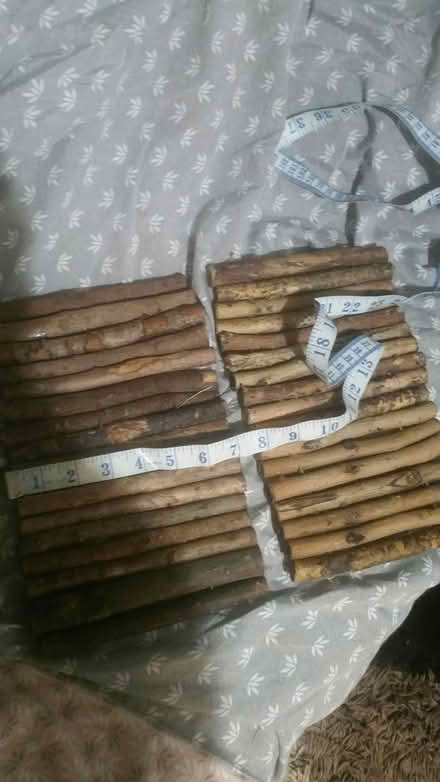 Photo of free 2 Animal log rolls (Southey Green S5) #3
