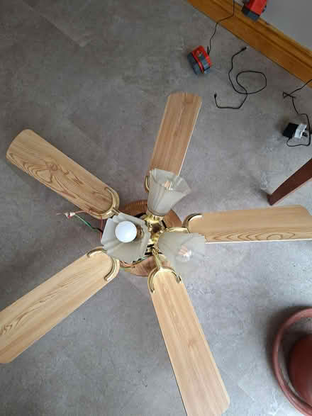 Photo of free 2 ceiling fans (Wallington SM6) #1