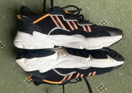 Photo of free Adidas trainers (Dyke Road area BN1) #2