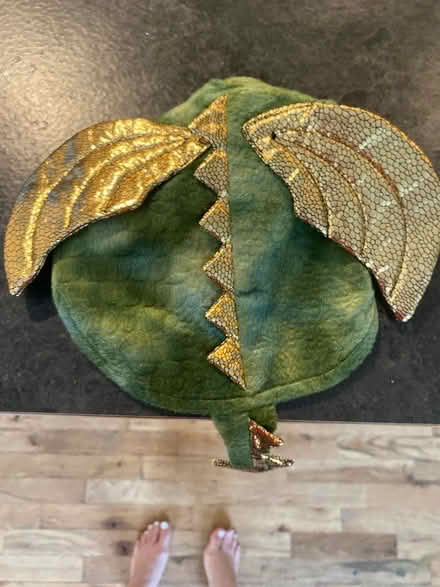 Photo of free Dragon costume for dog (Skyway) #1