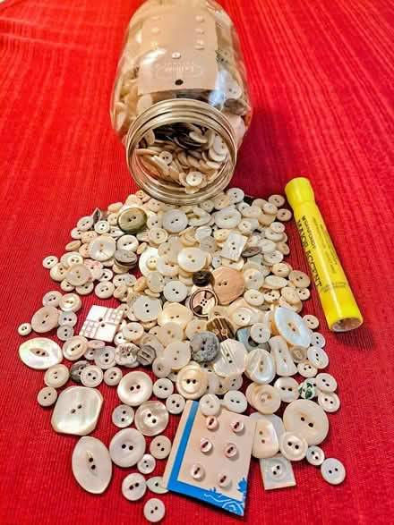 Photo of free 2-hole shell buttons (69th Street, Upper Darby) #1