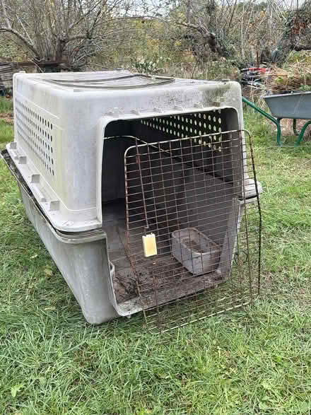 Photo of free Large dog crate /kennel ME15 (Maidstone ME15) #1