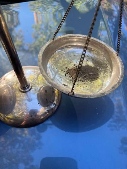 Photo of free Decorative scale (Oradell) #2