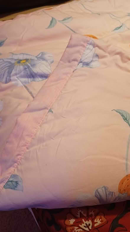 Photo of free Pretty quilt (Chineham RG24) #1