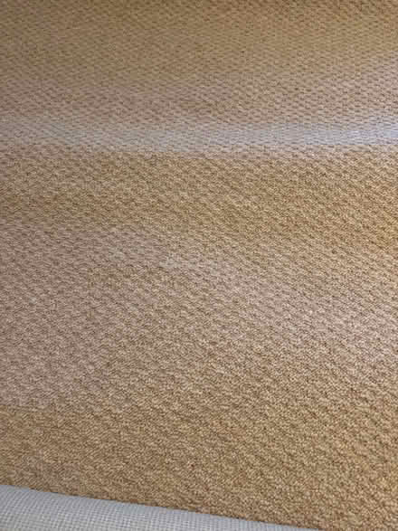 Photo of free Unused carpet #2 (SG5 Hitchin) #2