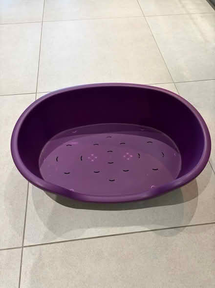 Photo of free Plastic Dog Bed (Chester CH3) #1