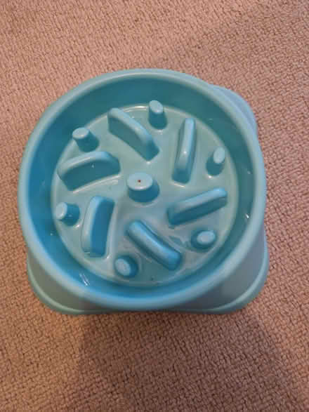Photo of free Slow feeder dog bowl (Oakenshaw BB5) #1