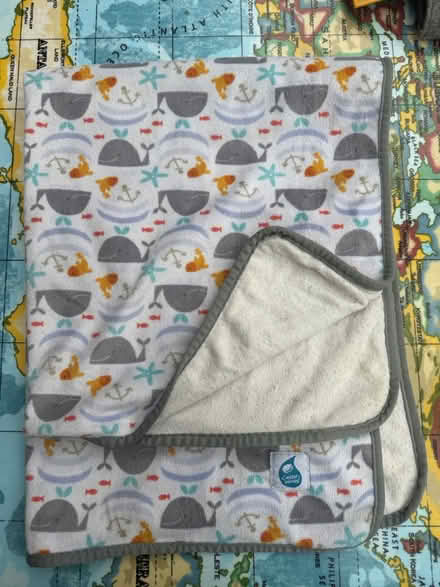 Photo of free Cheeky Wipes swim changing mat (Shedfield) #1