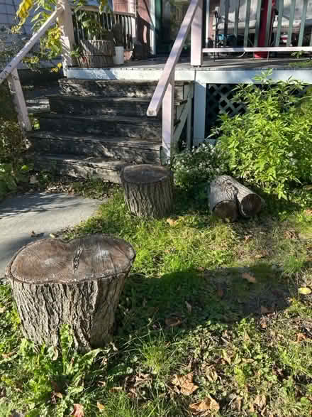 Photo of free Sugar maple pieces for firewood (downtown) #2