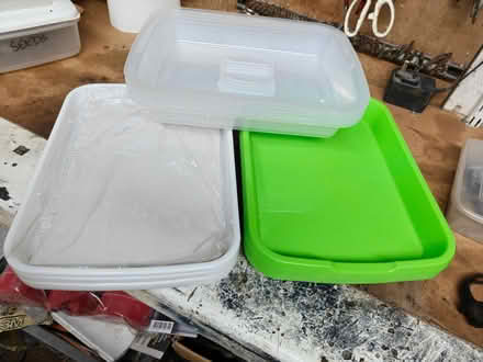 Photo of free Sprouting seed trays (Slough SL2) #1
