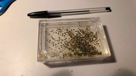 Photo of free Glitter photo frame (St Albans AL3) #1