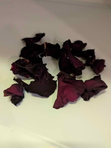 Photo of free Dark red rose petals (dried) (Wicker Park) #1