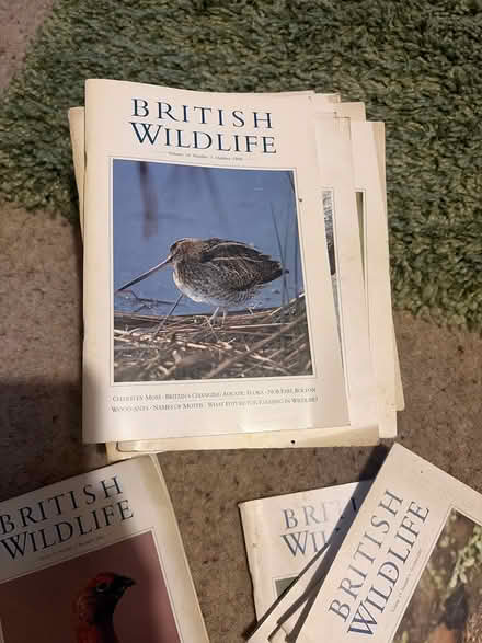 Photo of free British wildlife magazine 1998 - 2021 (Lydham SY9) #1