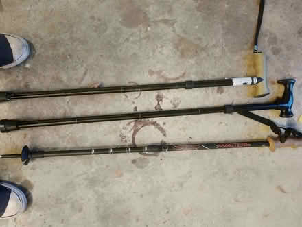 Photo of free Walking sticks and pole (Billericay CM4) #1