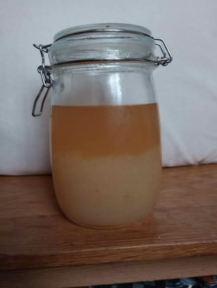 Photo of free Water kefir grains (Kingsway BA2) #1
