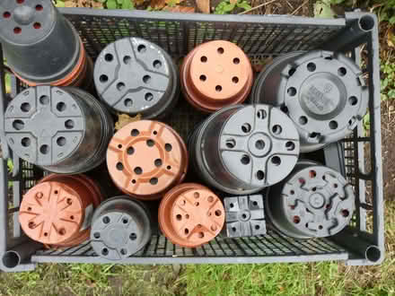 Photo of free Plastic plant pots (Westfield NR19) #2