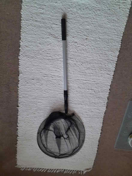 Photo of free pond/pool skimmer (The Dales IP1) #1