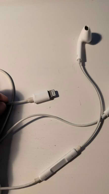 Photo of free Apple earbuds, lightning connector (St Albans AL3) #1