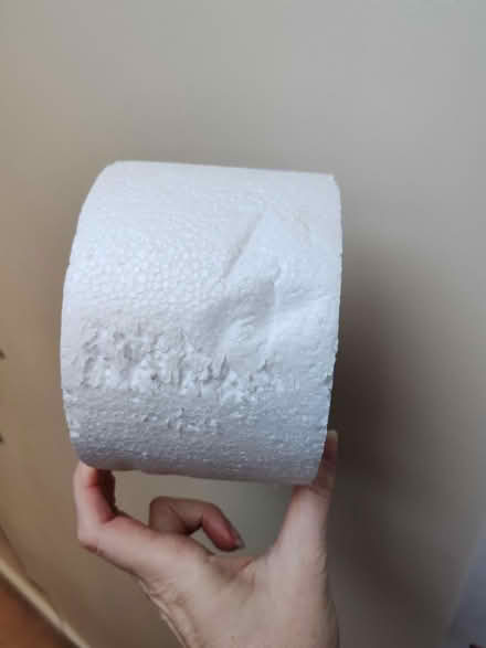 Photo of free Large round piece of styrofoam (Barbourne, WR1) #2