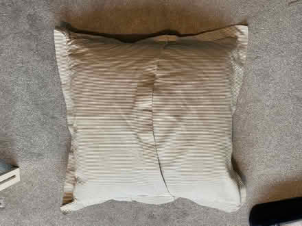 Photo of free Large floor cushion (Taverham NR8) #1