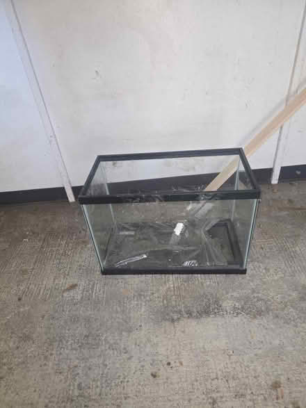 Photo of free Fish Aquarium (Farmington Hills) #2