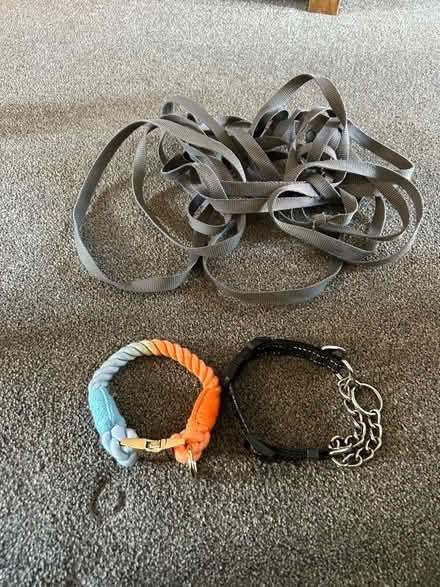 Photo of free Dog collars etc (Plumpton CA11) #1
